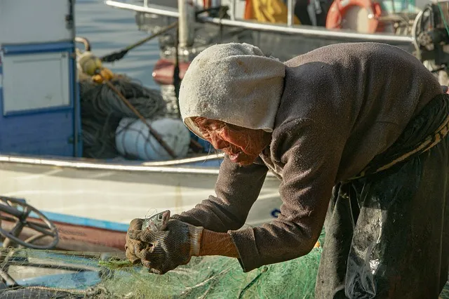 동해산타열차 시간표 예매가능한 날 가격_7