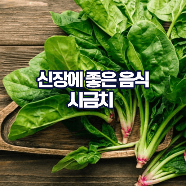 신장에 좋은 음식 시금치