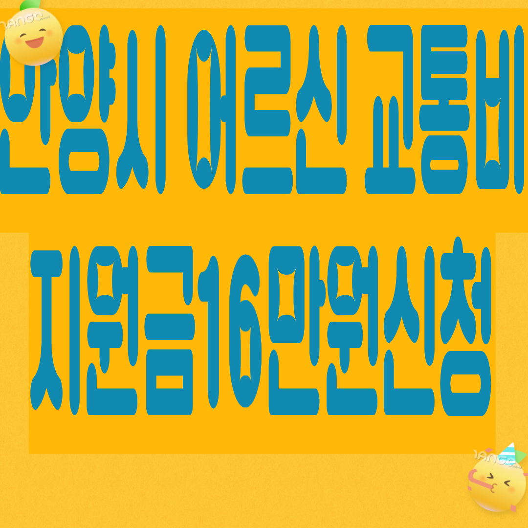 2026년 안양시 어르신 교통비 지원금 16만원