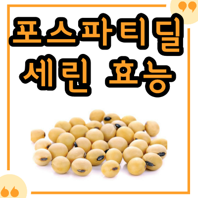 포스파티딜세린