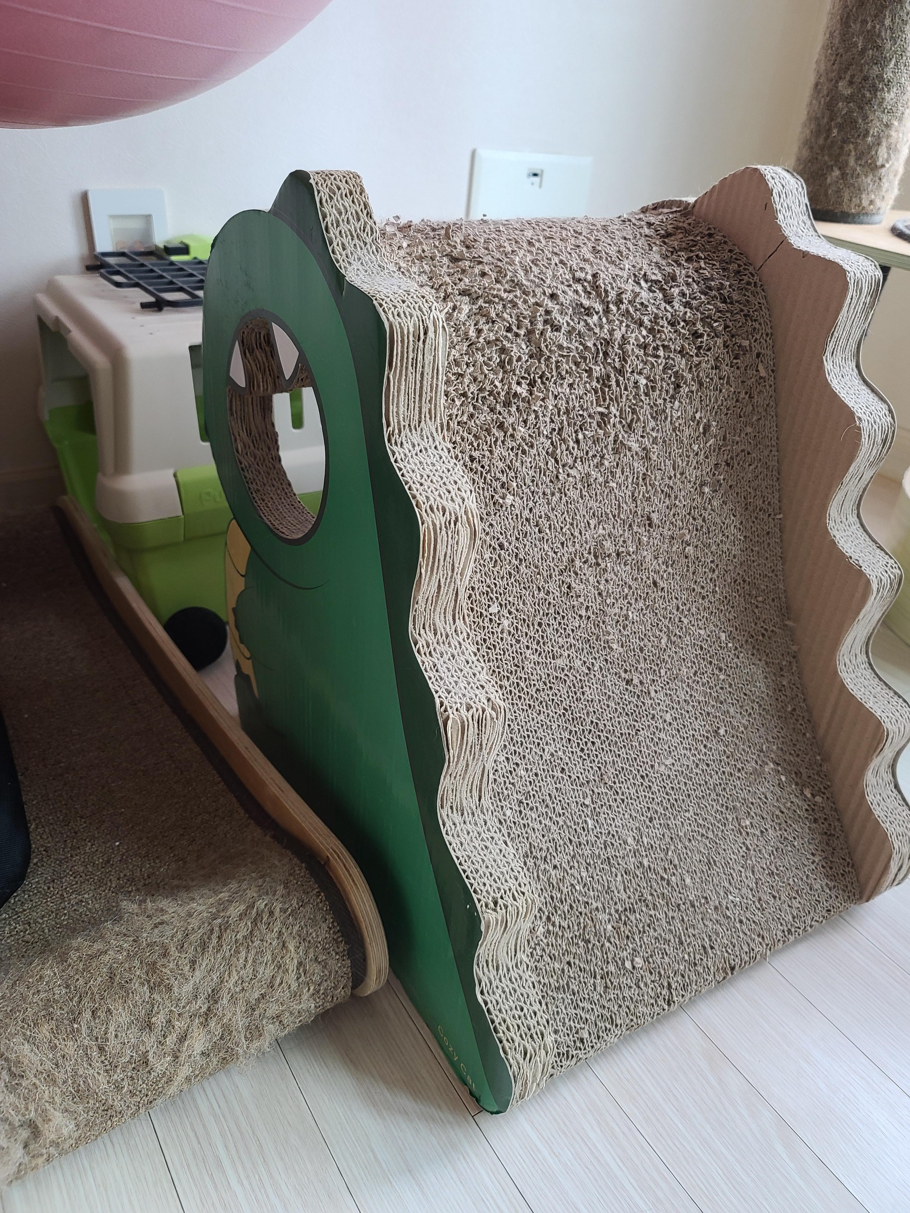 집사가 사준 스크래쳐를 잘 써주는 고양이들. 고양이들에게 스크래쳐가 꼭 필요한 이유.