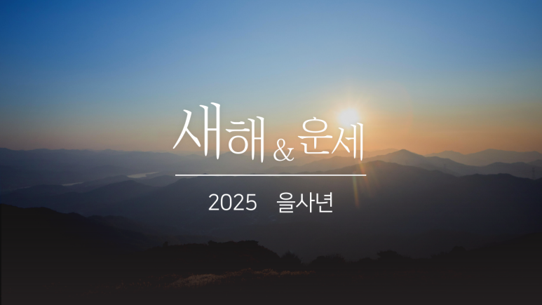 2025 새해 무료 운세