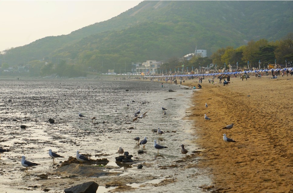 강화 동막해수욕장-사진