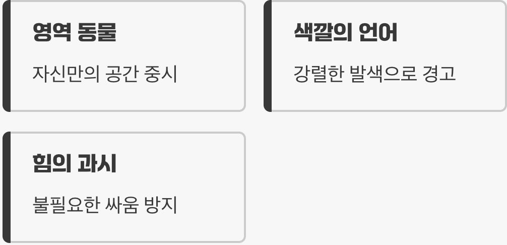 "내가 바로 이 구역의 짱이야!" 영역 싸움의 신호