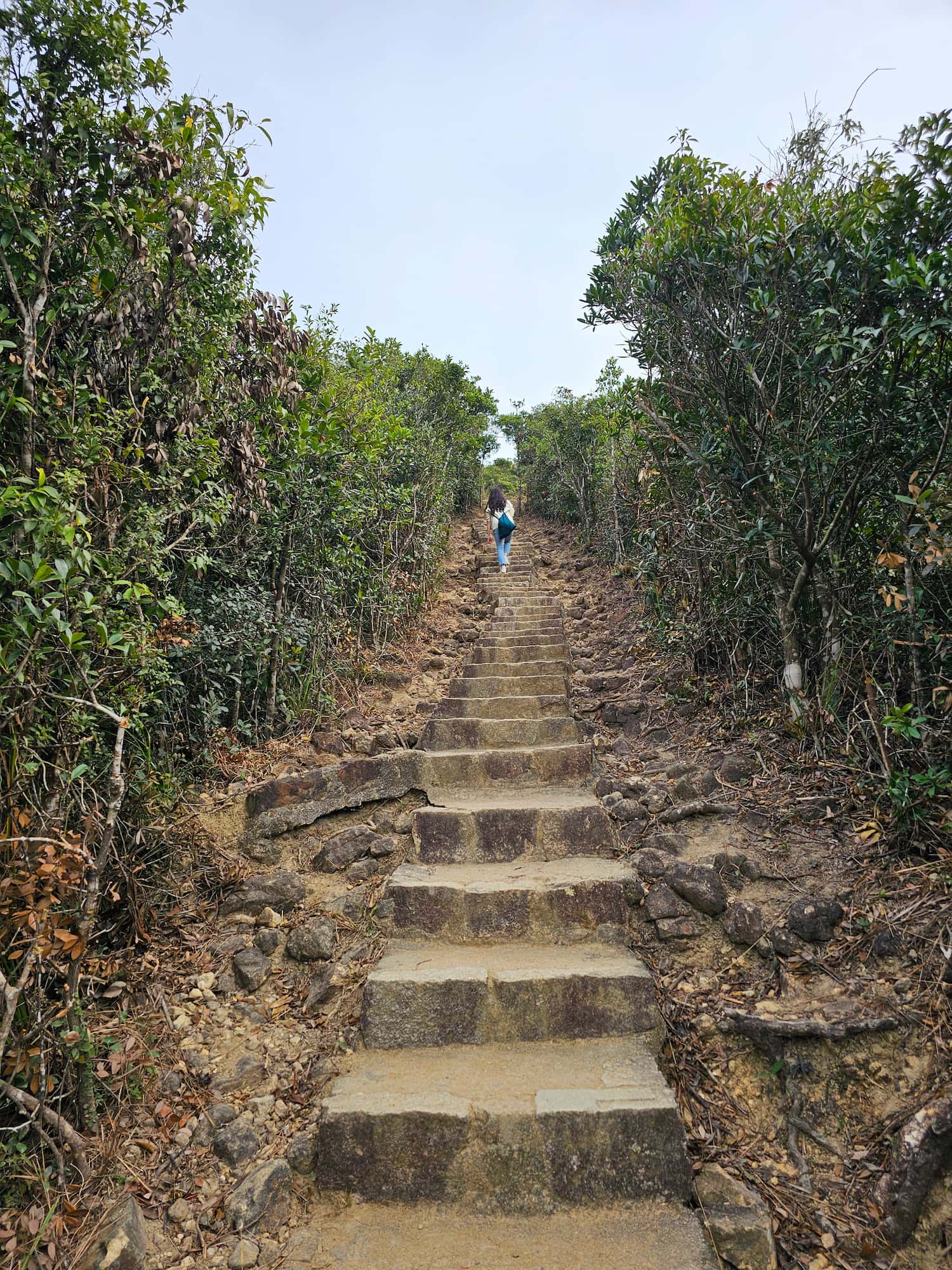 드래곤즈 백 후기