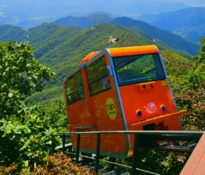 가족과함께할국내여행지