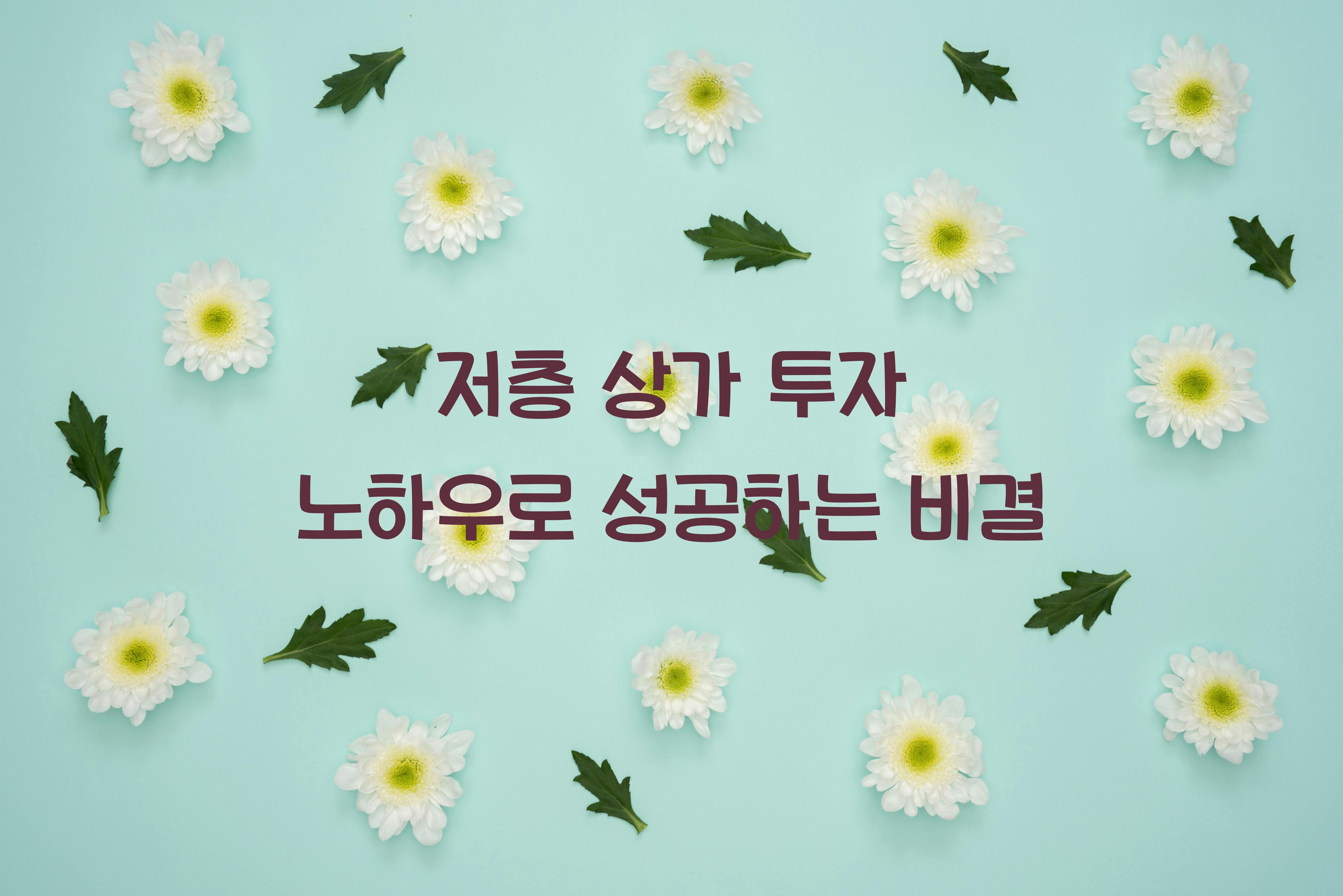 저층 상가 투자 노하우