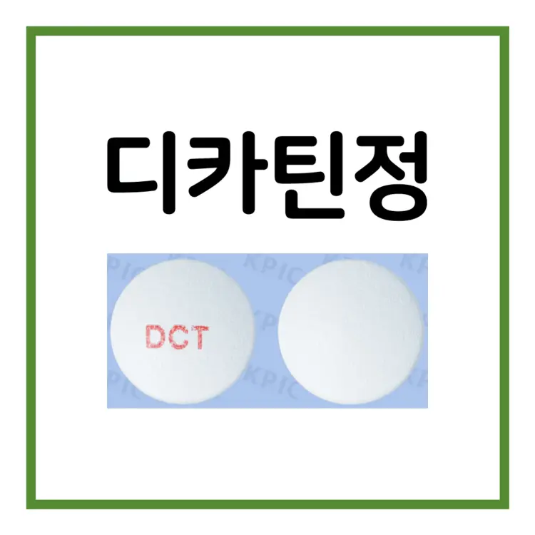 디카틴정-이미지