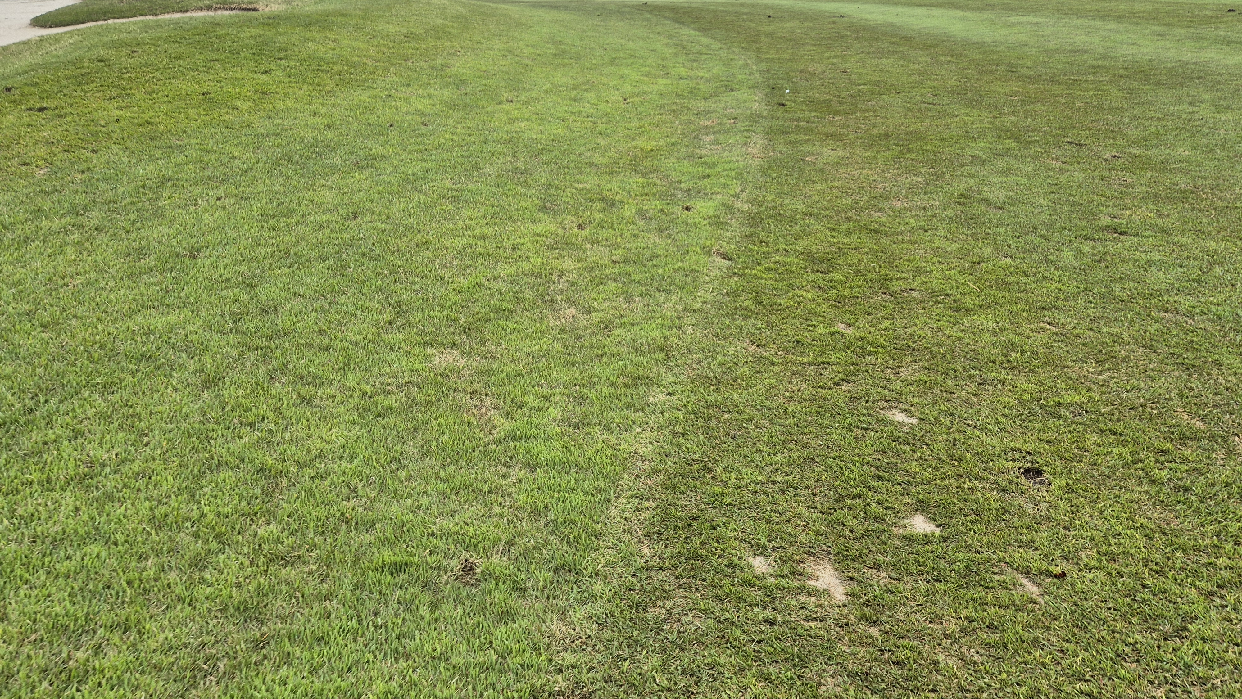 엘리시안 강촌cc 라운드 후기