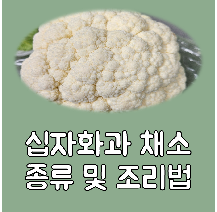 십자화과 채소 종류 대표이미지