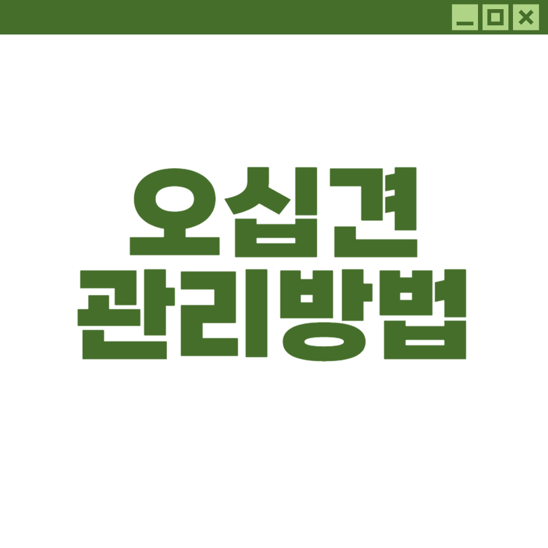 오십견 관리방법