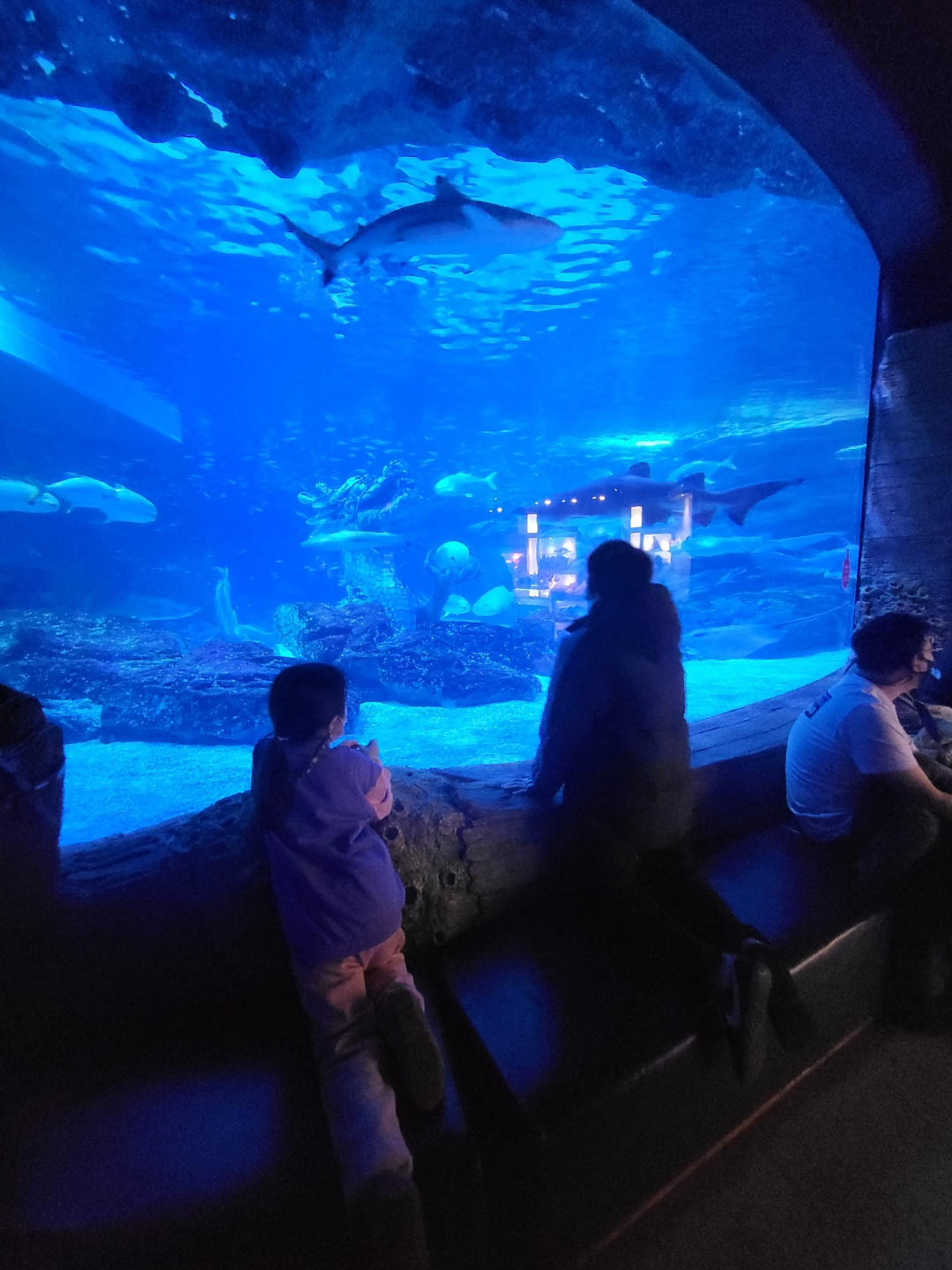 부산 아쿠아리움