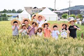 양평 용문산 산나물 축제