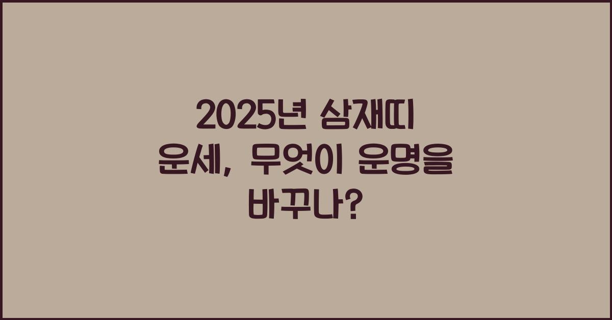 2025년 삼재띠