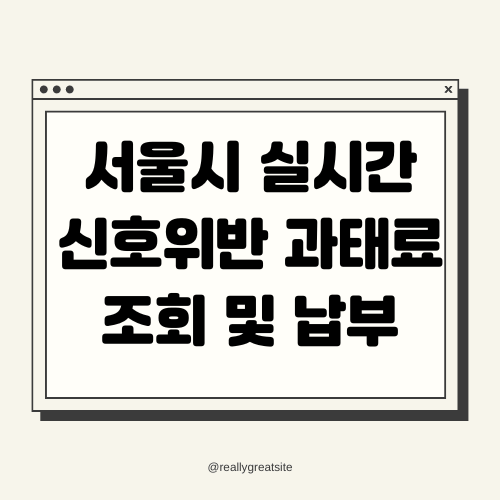 서울시 실시간 신호위반 과태료 조회 및 납부 방법