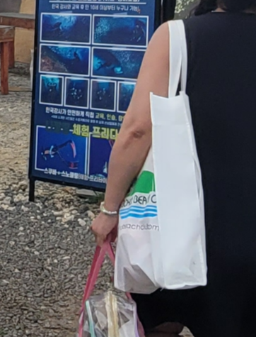 보홀비치클럽 BBC리조트 디럭스 그린룸