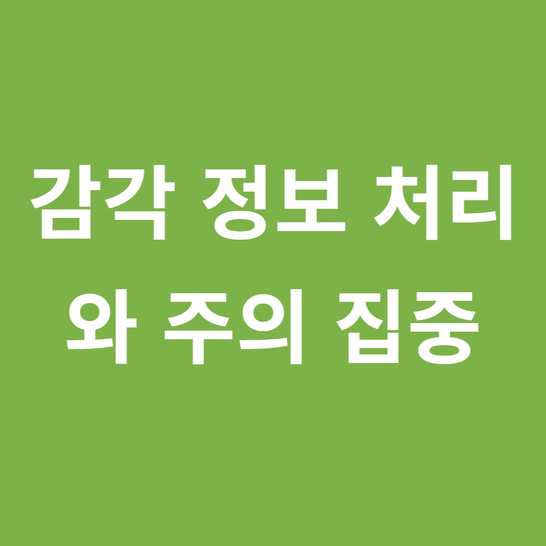 감각 정보 처리와 주의 집중