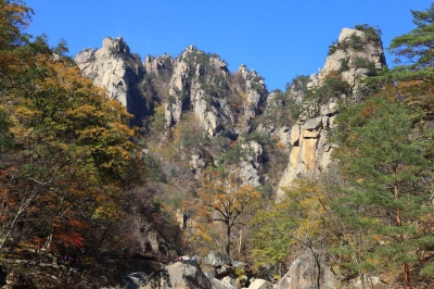 설악산-케이블카-사전-예약-불가!-현장-구매-방법&amp;#44;-요금&amp;#44;-운영시간