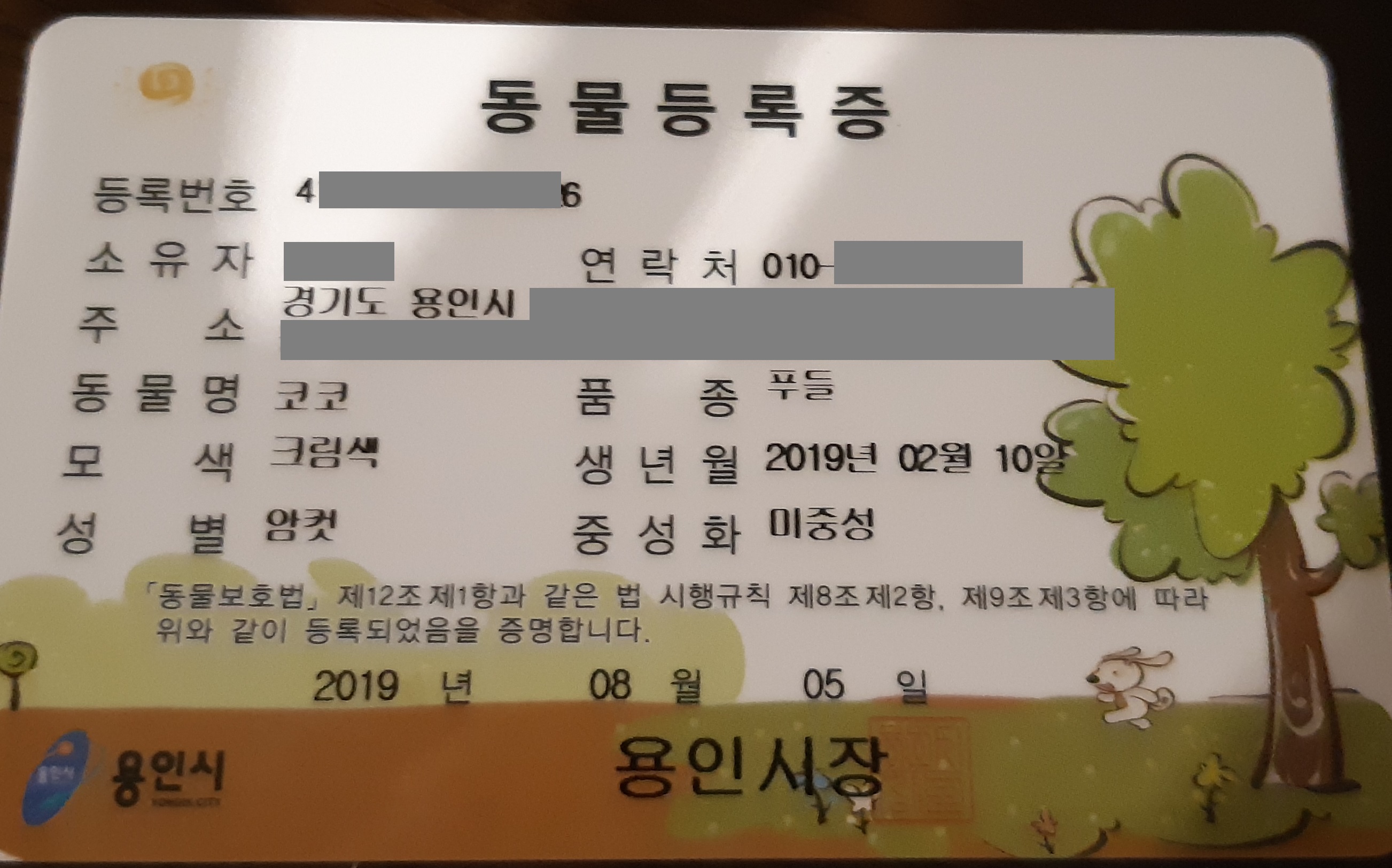 동물등록증