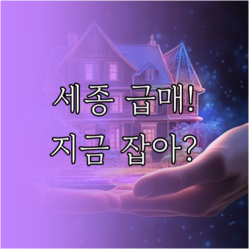 세종시 급매물 상가 토지 정보 세종 ..