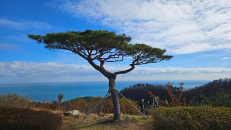 골프장 경험담 경주 골프존 감포cc 바다를 품은 오션뷰 하나뿐인 18홀 내내 동해바다를 보는 골프장