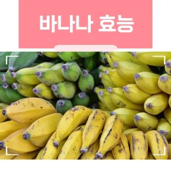 바나나 효능 식이섬유 포만감 운동 전후 효과_24