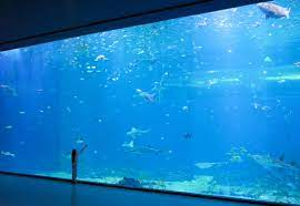아쿠아리움의 아름다운 수족관