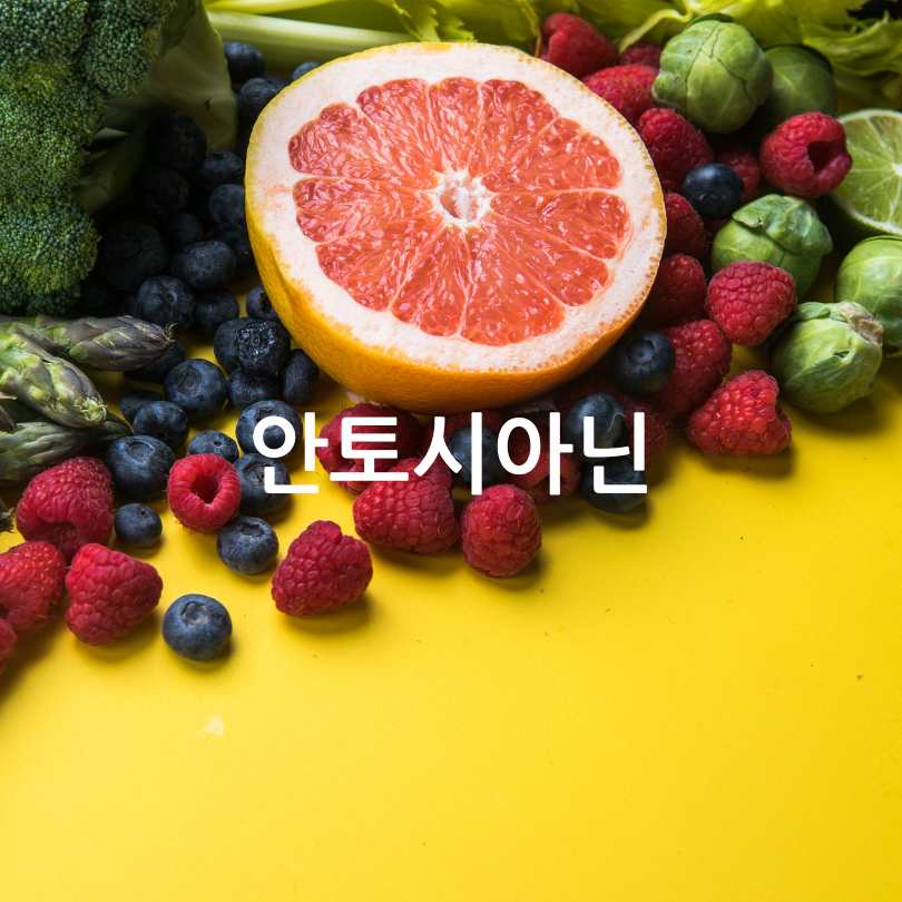 항산화영양제