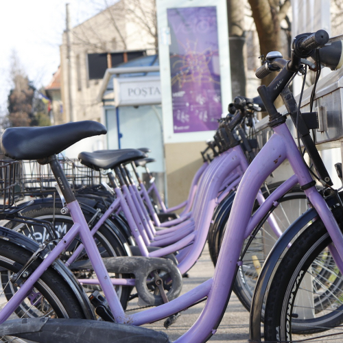 Public bike sharing docking station with multiple bicycles available for rental in Korean city