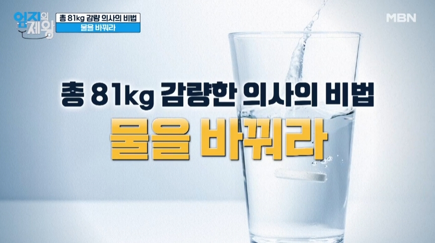 사과식초녹차 다이어트