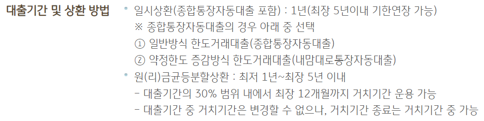 국민은행 사업자대출