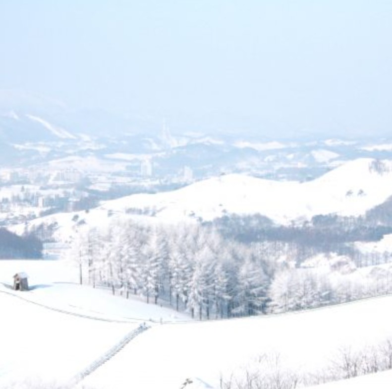 대관령양떼목장 설원