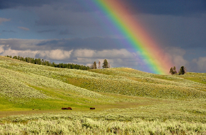 무지개는 왜 일곱 가지 색으로 보일까