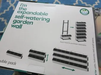 주방 허브 키우기 물주기 수확관리 세척보관 어르신도 간단 실천_13