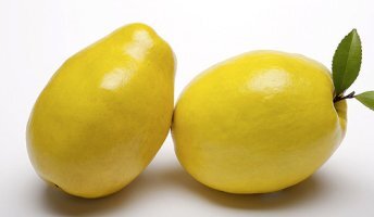 목에 좋은 음식