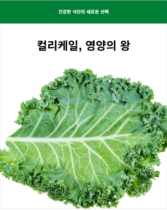 컬리케일 효능&amp;#44; 건강한 중년을 위한 슈퍼푸드