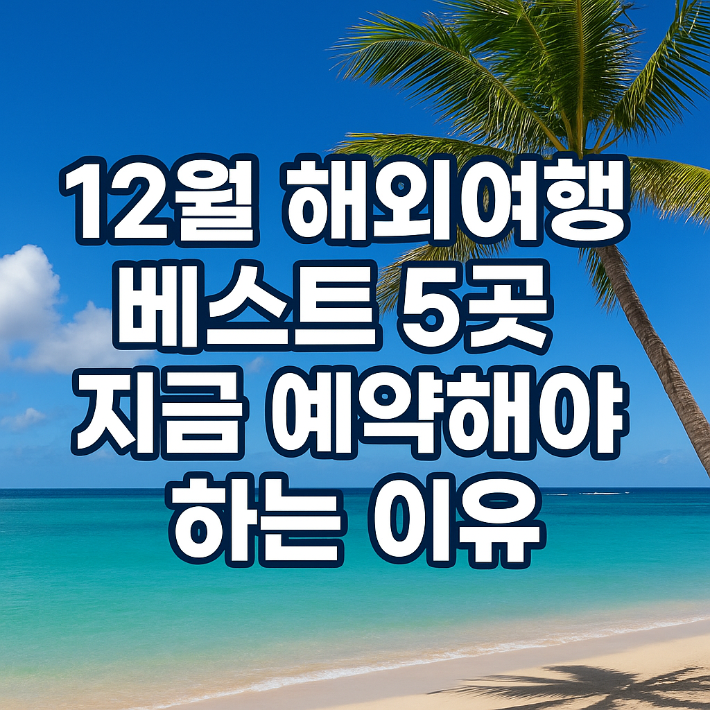 12월 땡처리 항공권 예약하기