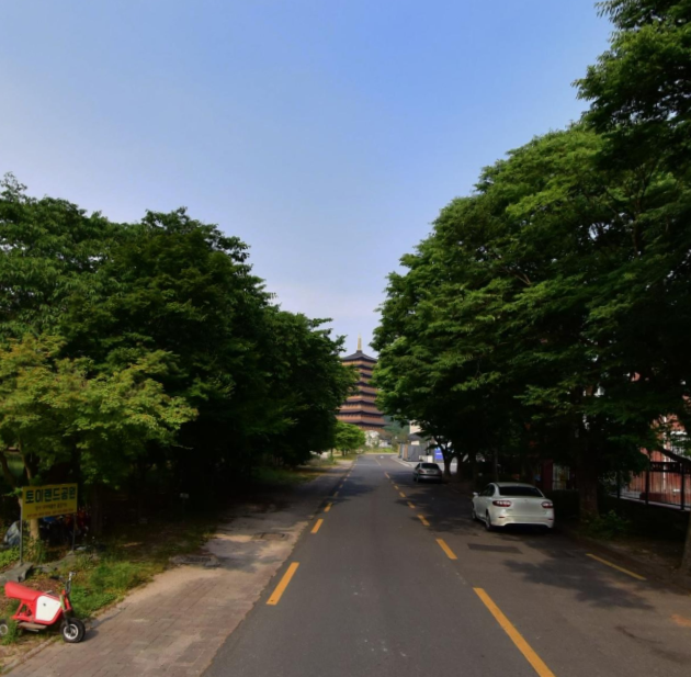 메타세콰이어숲 