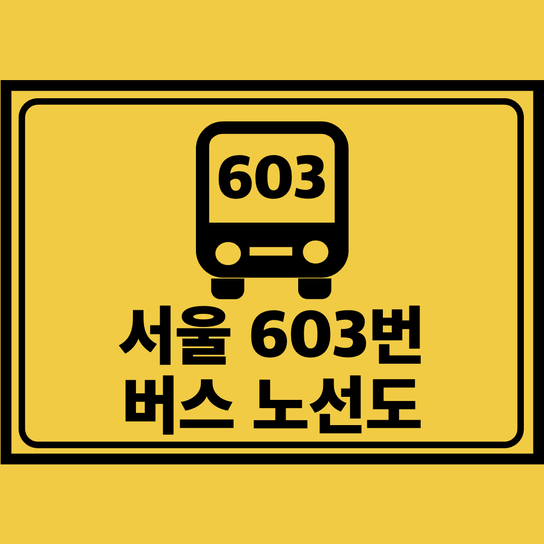 서울603번버스노선도
