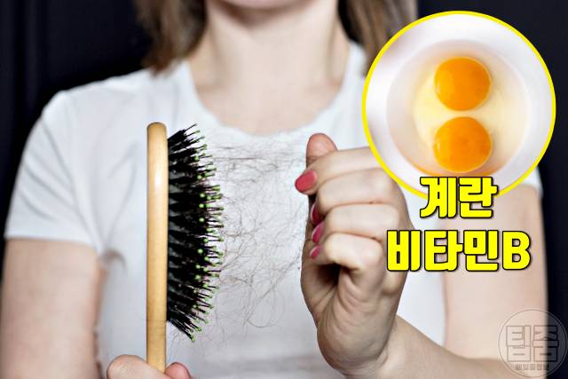 매일 계란 2개 효능,탈모 피부관리