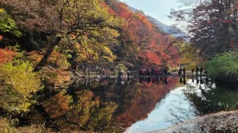 가을 단풍 여행지 베스트10 산책로 사진스팟 대중교통으로 여유롭게_22