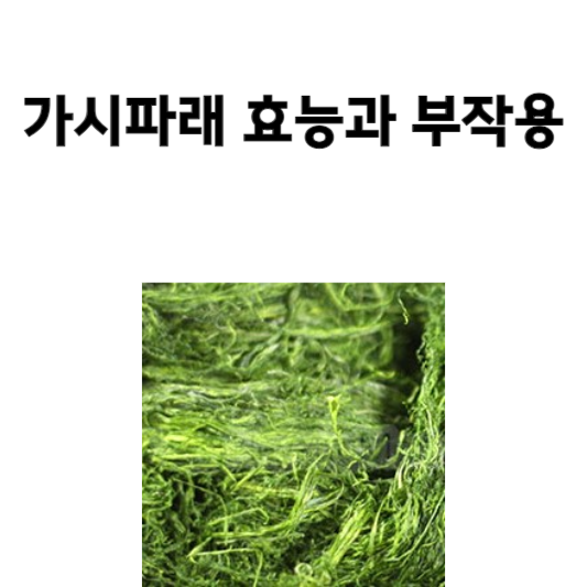 가시파래 효능과 부작용