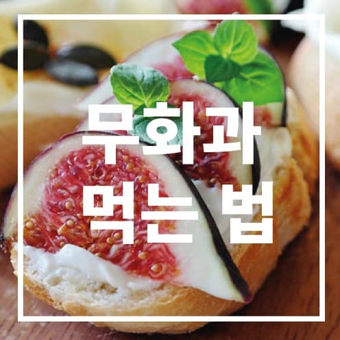 무화과 먹는 법