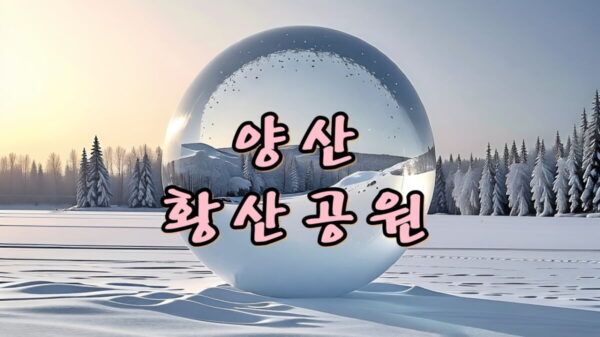 양산 황산공원, 색색의 가을국화/ 특이한 댑사리 그리고 캠핑장이 있는 곳!