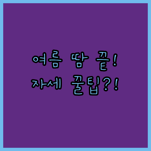 여름철 땀 걱정 끝 메쉬 통기성 컴퓨..