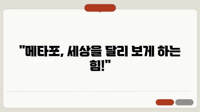 메타포의 문학적 기능
