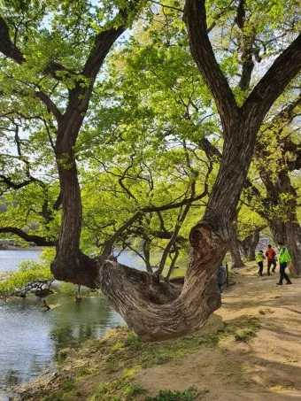 경산 가볼만한곳 베스트10 현지인 추천 필수코스_25