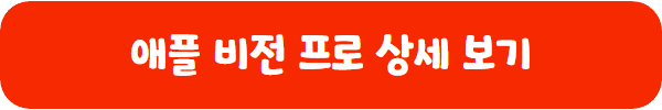 애플비전프로 정보