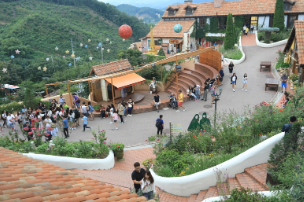 가평 반려동물 문화행사 활짝펫