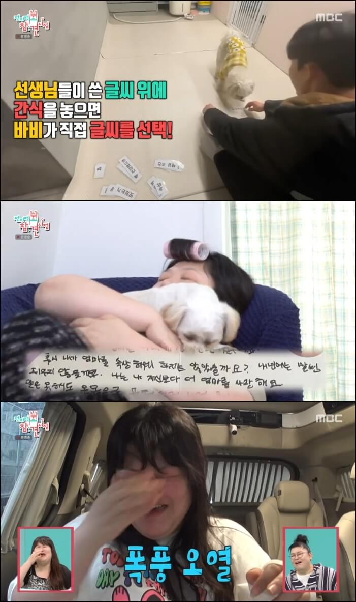 개치원